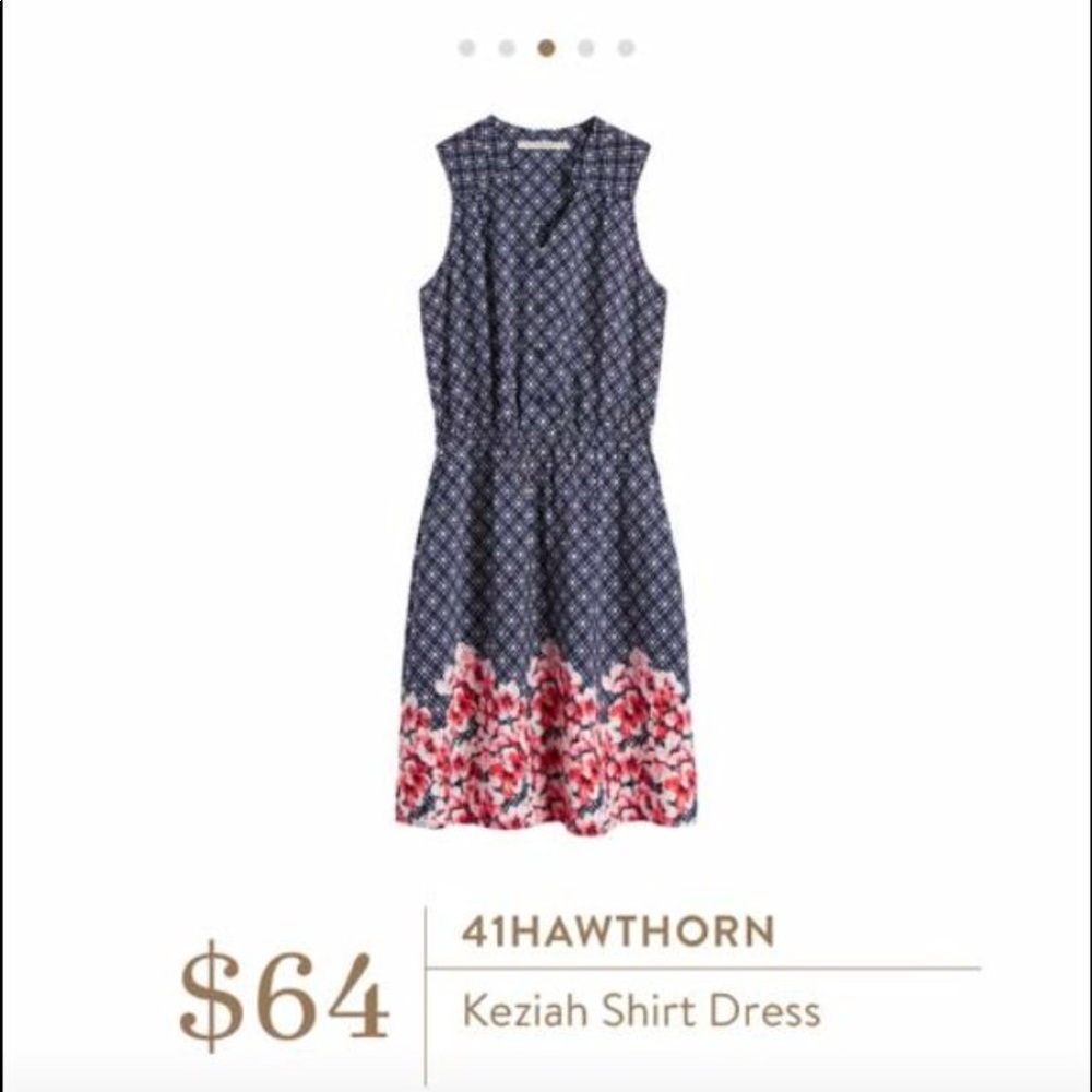 41Hawthorn Keziah Shirt Dress